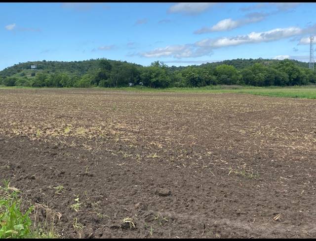 18HA FARM FOR SALE IN WEENEN